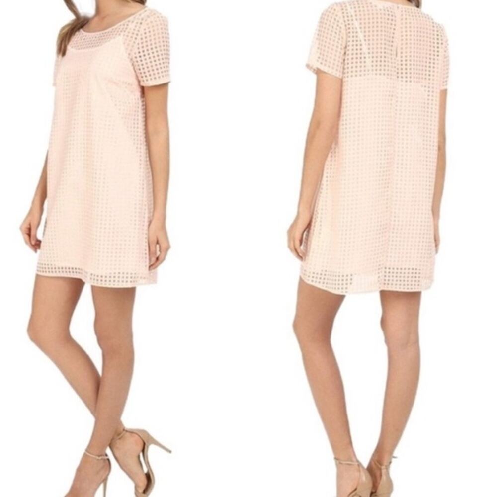 NWT Jack Hendricks Gingham‎ Organza Shift Dress L